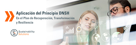 Webinar aplicación del principio DNSH